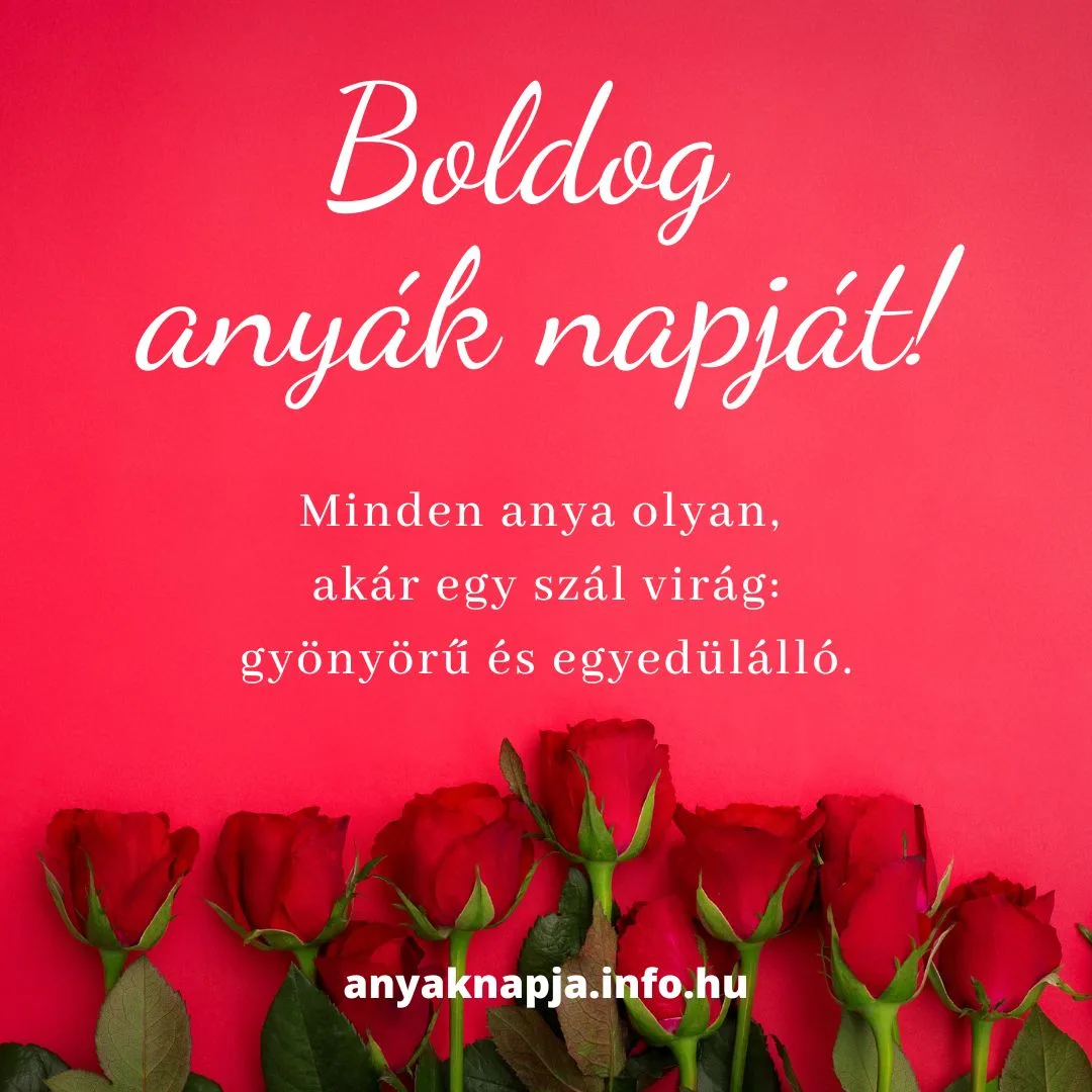 boldog anyák napját rózsák, minden anya egyedülálló