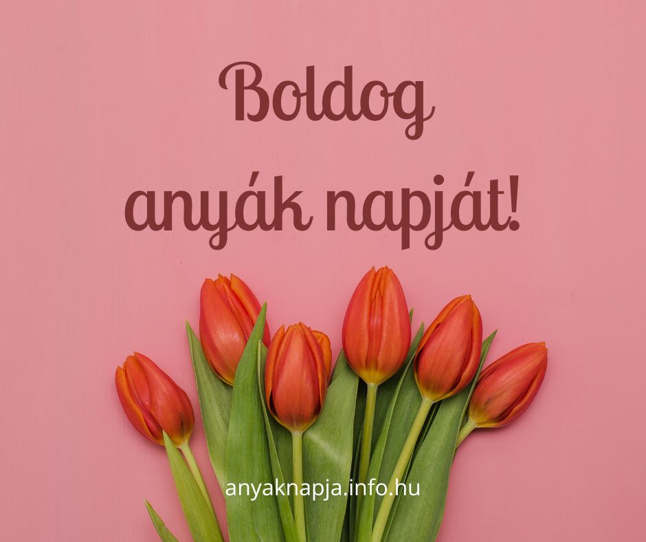 boldog anyák napját tulipánok